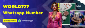 Read more about the article World777 Whatsapp Customer Service: The Fastest Way to Connect